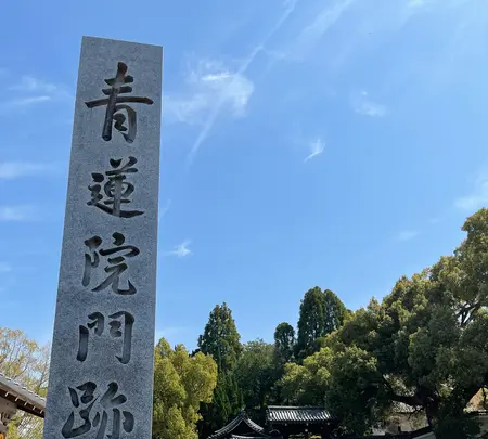 青蓮院門跡の写真・動画_image_427605