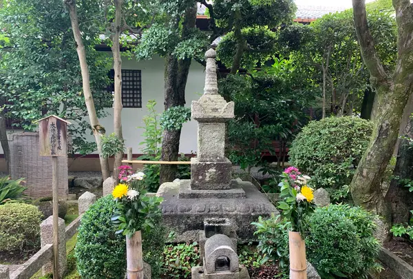 義仲寺の写真・動画_image_427656