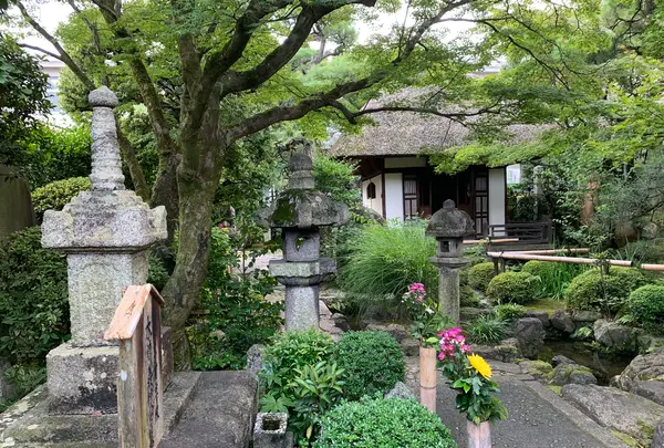 義仲寺の写真・動画_image_427658