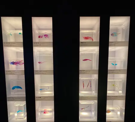 沼津港深海水族館の写真・動画_image_427667