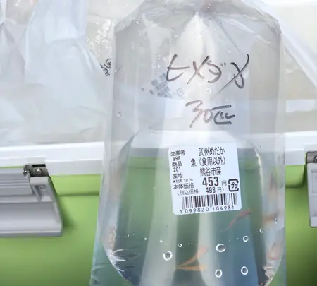 道の駅めぬまの写真・動画_image_427768