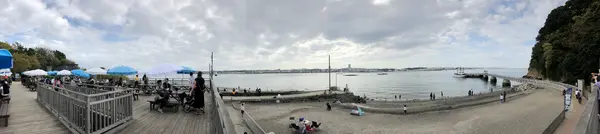 猿島航路の写真・動画_image_427836