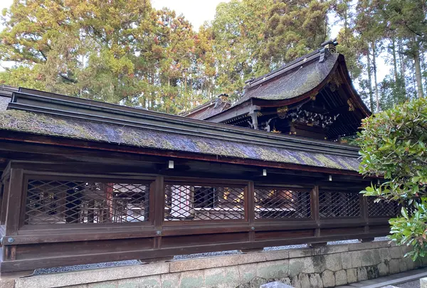 建部大社の写真・動画_image_428033