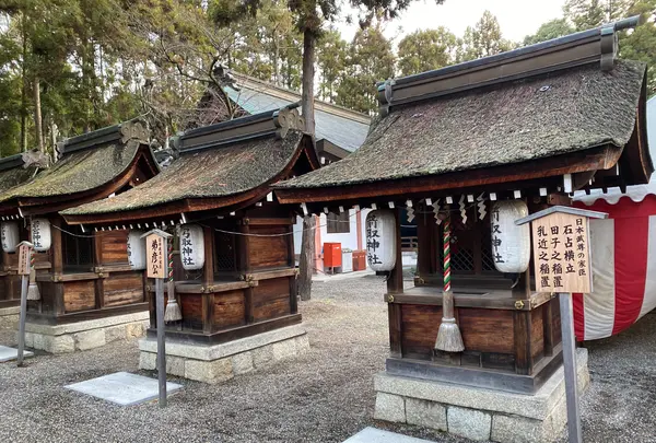 建部大社の写真・動画_image_428035