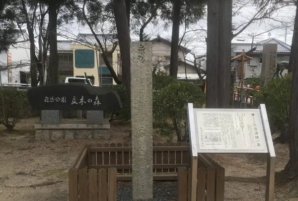 立木神社 御旅所の写真・動画_image_428038