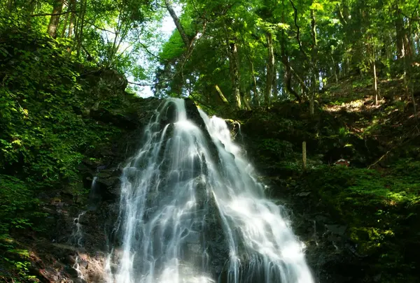 不動滝の写真・動画_image_428254