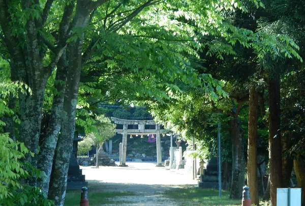 神谷太刀宮（神谷神社）の写真・動画_image_428351