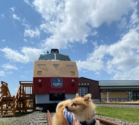 道の駅 あびらD51ステーションの写真・動画_image_428534