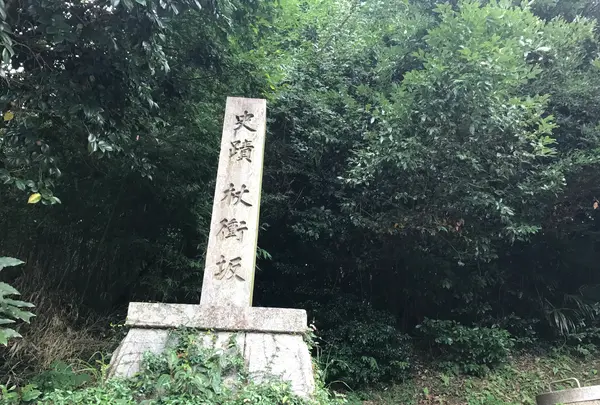 杖衝坂の写真・動画_image_428716