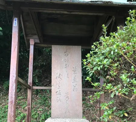 杖衝坂の写真・動画_image_428717