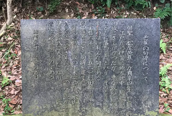 杖衝坂の写真・動画_image_428719
