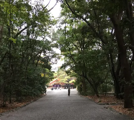 熱田神宮の写真・動画_image_428740