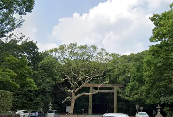 第一鳥居の写真・動画_image_428743