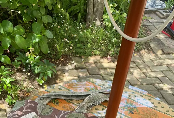 ミモザ村の写真・動画_image_429084