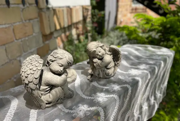 ミモザ村の写真・動画_image_429088