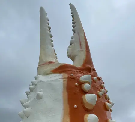 北海道立オホーツク流氷科学センター「ギザ」の写真・動画_image_429295