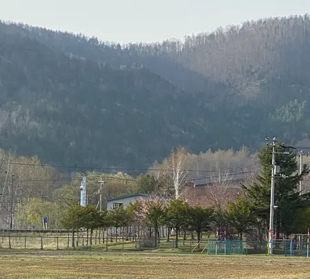 温根湯温泉 美肌の湯元 大江本家の写真・動画_image_429297