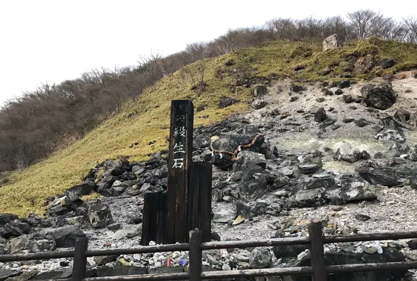殺生石の写真・動画_image_429592