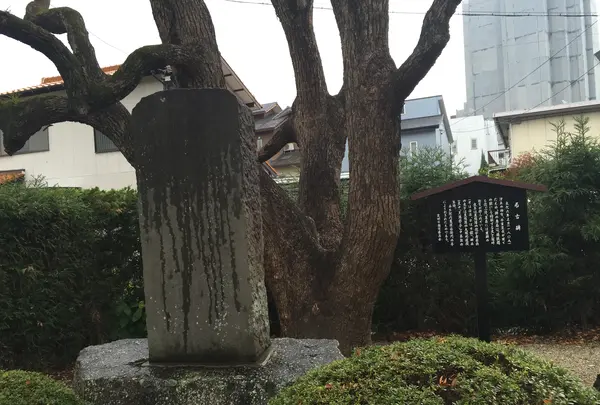 桶狭間古戦場伝説地の写真・動画_image_429613