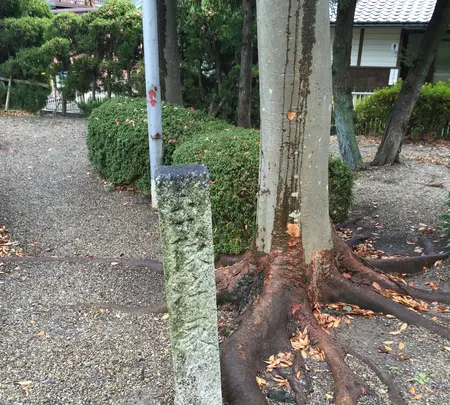 桶狭間古戦場伝説地の写真・動画_image_429617