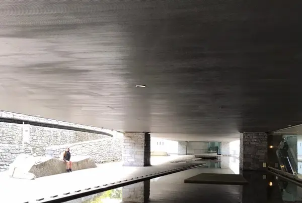 東京都現代美術館の写真・動画_image_429673