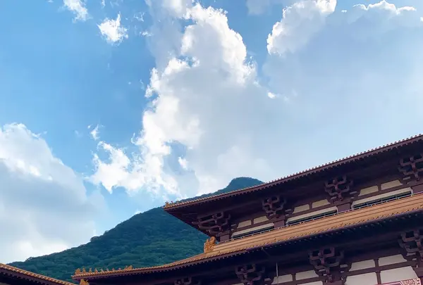 佛光法水寺の写真・動画_image_429771