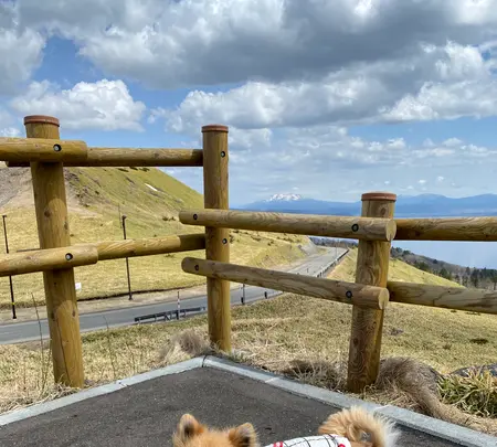 屈斜路湖の写真・動画_image_429776