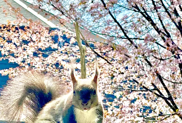 北天の丘 あばしり湖鶴雅リゾートの写真・動画_image_429792