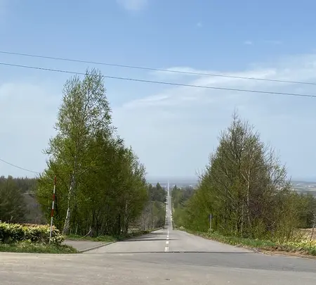 天に続く道の写真・動画_image_429796