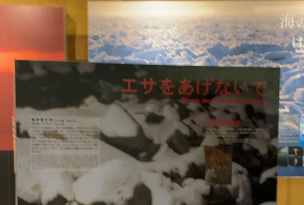 知床世界遺産センターの写真・動画_image_429806