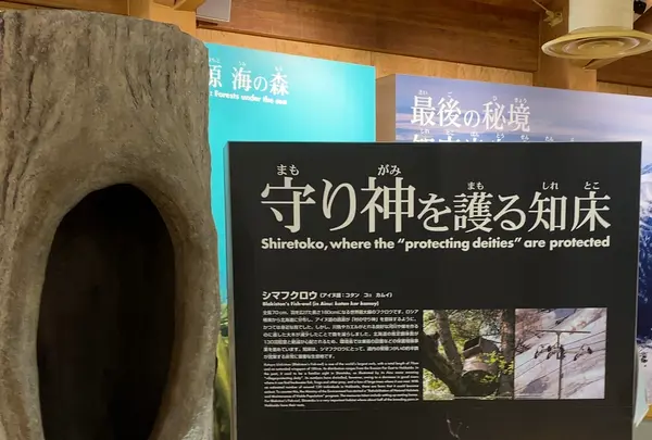 知床世界遺産センターの写真・動画_image_429807