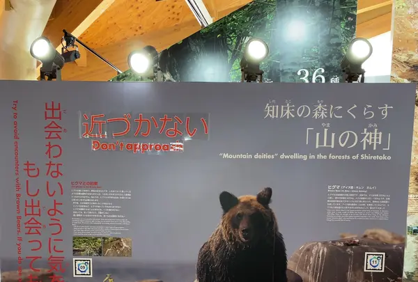 知床世界遺産センターの写真・動画_image_429809