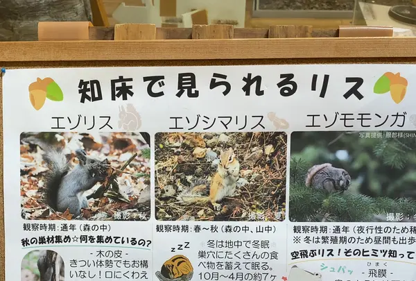 知床世界遺産センターの写真・動画_image_429810