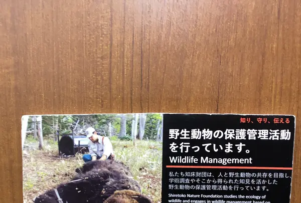 知床自然センターの写真・動画_image_429816