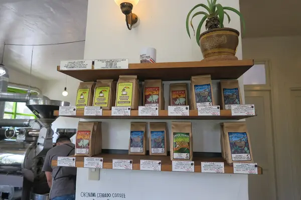 港川外人住宅街の写真・動画_image_429841