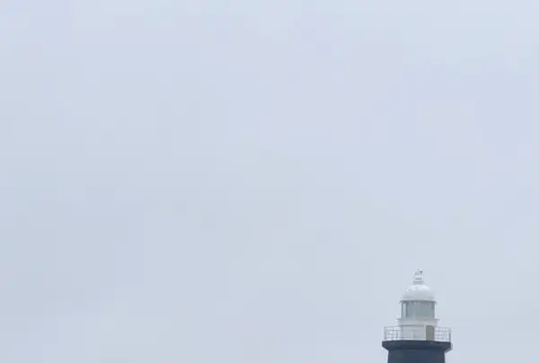 能取岬海岸の写真・動画_image_429853