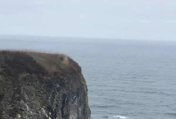 能取岬海岸の写真・動画_image_429854