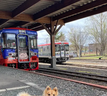 ふるさと銀河線りくべつ鉄道の写真・動画_image_429856