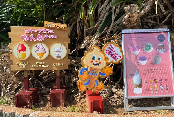 沖縄かんなの写真・動画_image_429937