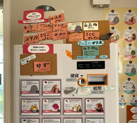 沖縄かんなの写真・動画_image_429938