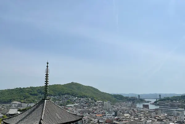 千光寺の写真・動画_image_429965