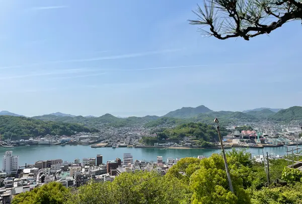 千光寺の写真・動画_image_429967