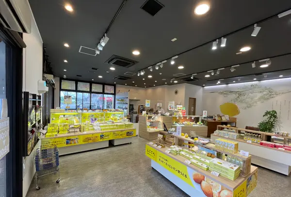 島ごころ SETODA本店の写真・動画_image_429979