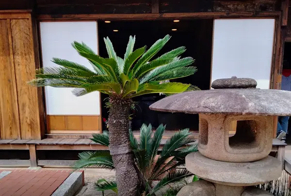 大橋屋の写真・動画_image_430189