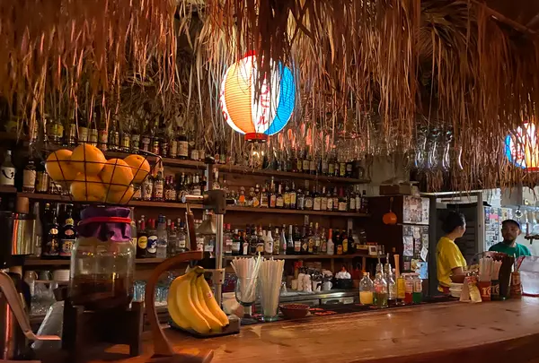 FLEX Bar & Grillの写真・動画_image_430270