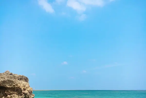 竜宮神の写真・動画_image_430279