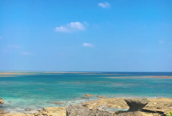 竜宮神の写真・動画_image_430280