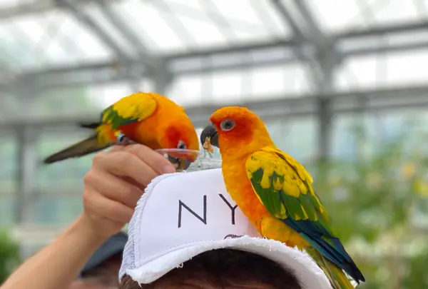 掛川花鳥園の写真・動画_image_430613