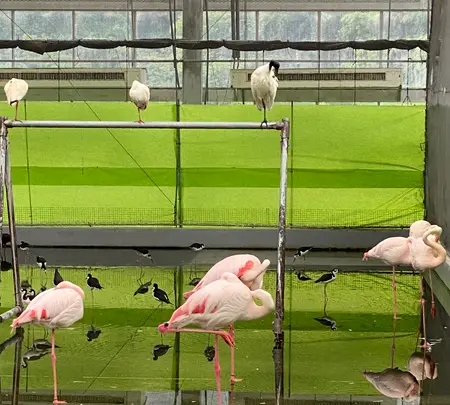 掛川花鳥園の写真・動画_image_430614