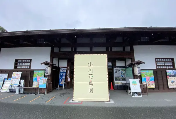 掛川花鳥園の写真・動画_image_430616